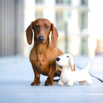WOOFSTUFF - SHOP FOR DOGS