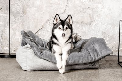 MOUNTAINDOG
