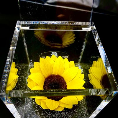 Cubo Girasole Stabilizzato 6cm - Fiore Eterno, Regalo Per Donna, Compleanno, Anniversario - Foto 1