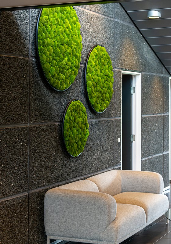 Greenmood - 5