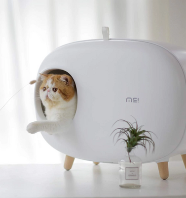 GIZMO Design