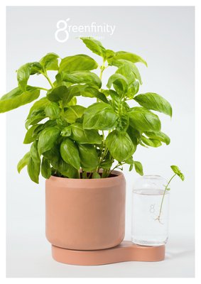 Greenfinity