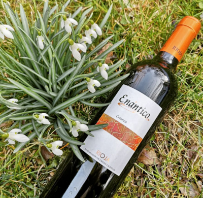 Viñedos y Bodegas Lyng