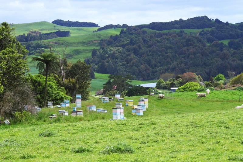 Auribee - 5