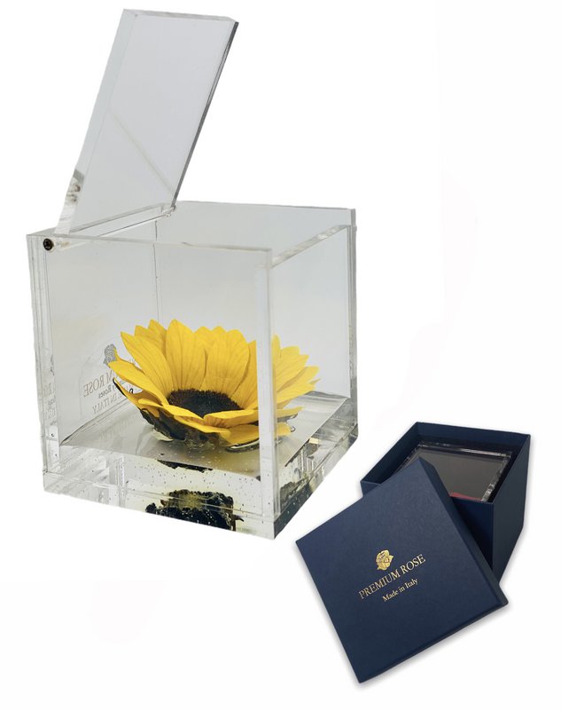 Premium Rose - 5