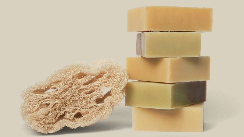 Food for Skin | B Corp - 6