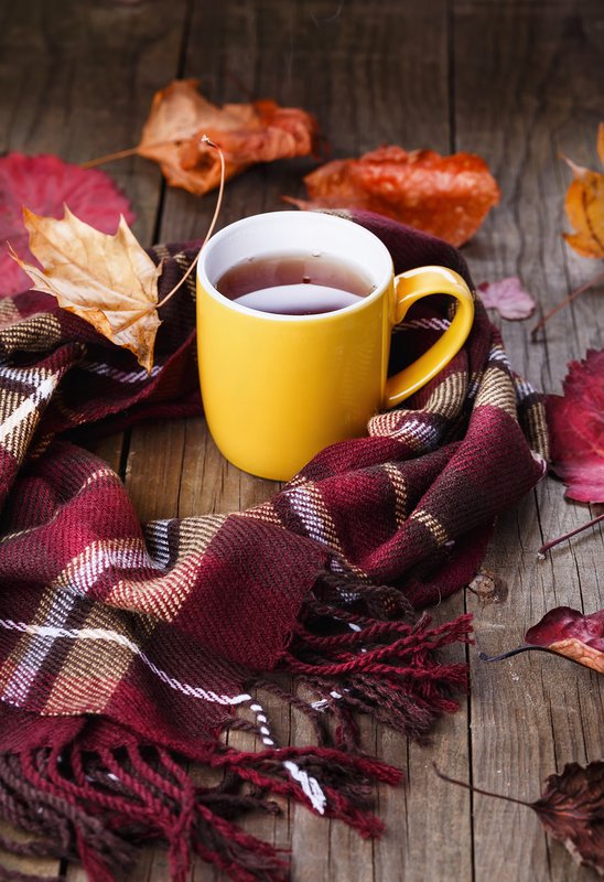 HOOGLY TEA LIMITED - 6