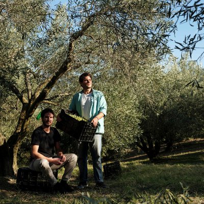 LADOLEA OLIVE OIL
