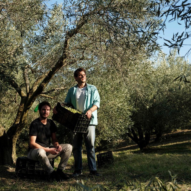 LADOLEA OLIVE OIL - 4