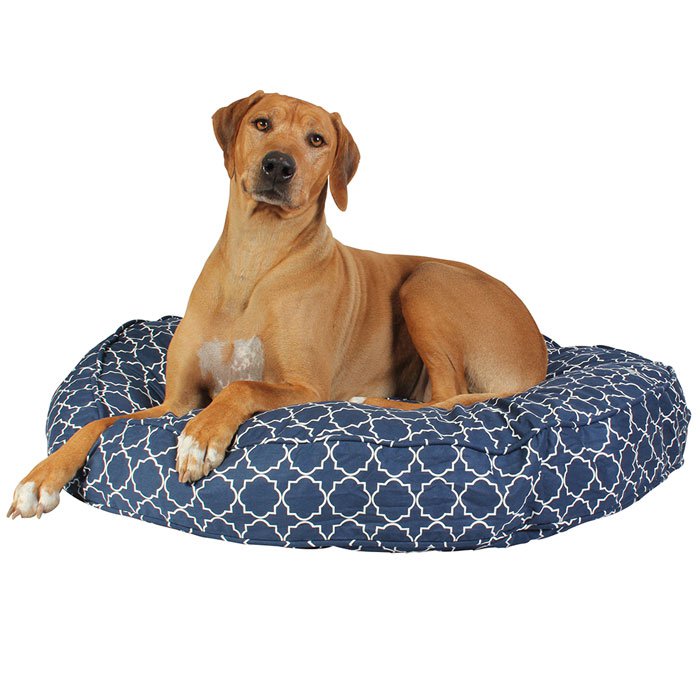 Molly Mutt Europe - 5