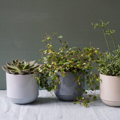 indre Ceramics & Design