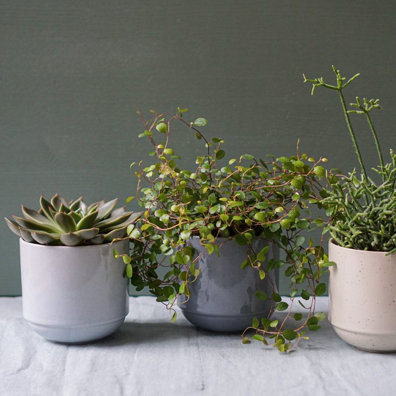 indre Ceramics & Design - 3