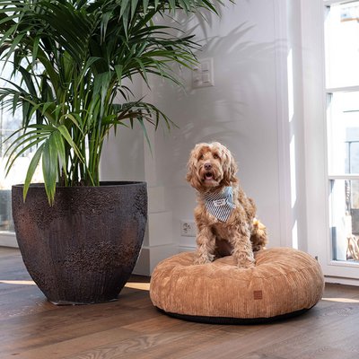 PET & Co.