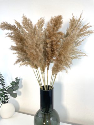 SH florale Ideen