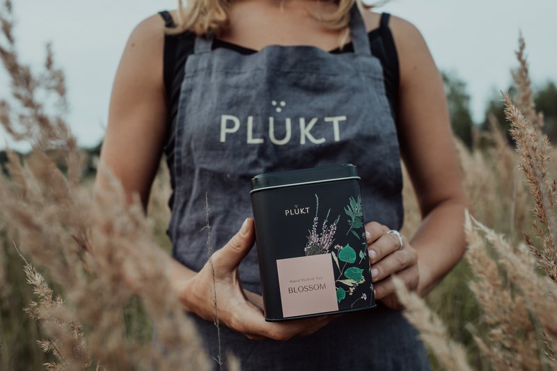 Plūkt - 1