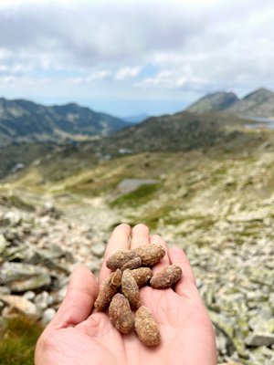 Flow Cacao