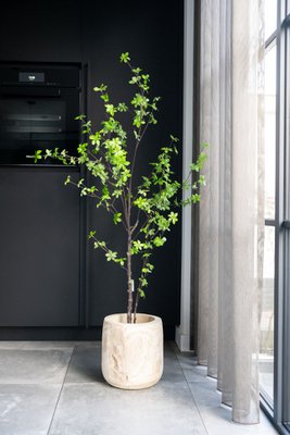 Green boutiQ