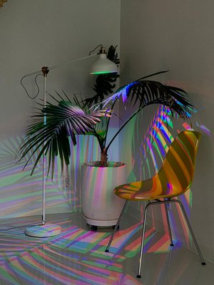 Studio Dennis Parren