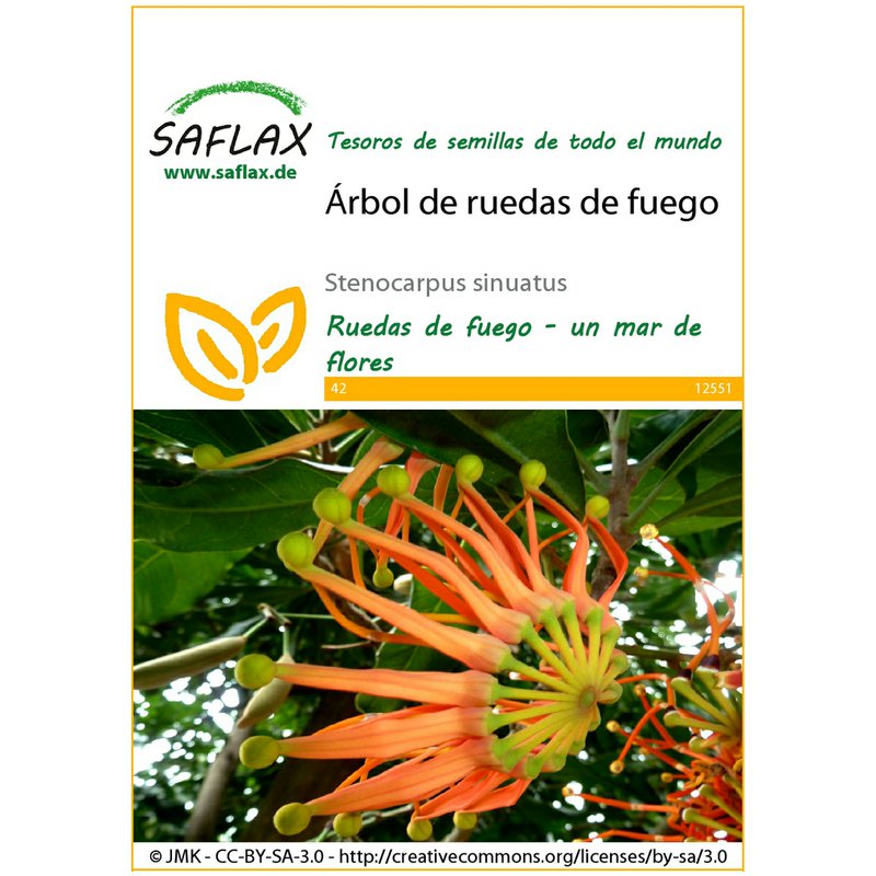 SAFLAX - 5