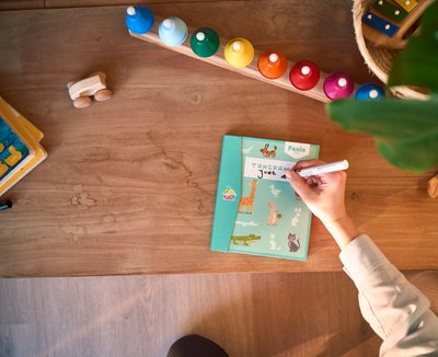 Fesio Toys