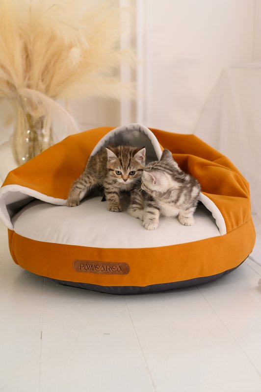PAWEAREA — Luxury Pet Interiors  - 4