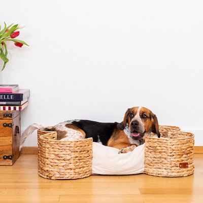PET & Co.