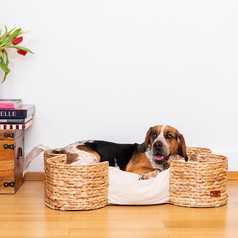 PET & Co. - 3