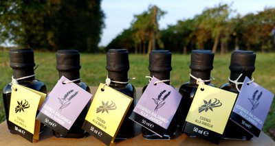 padoan - the real tastes of italy