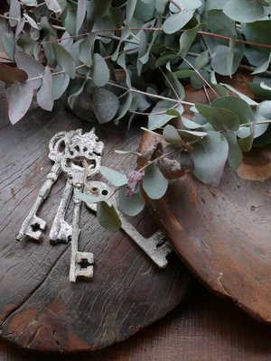 Nature and Style Wohnkultur