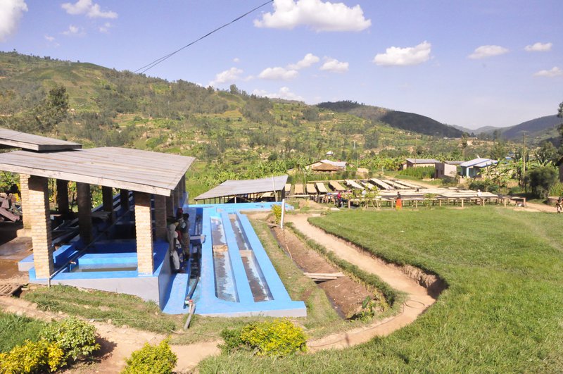 Virunga Coffee - 1