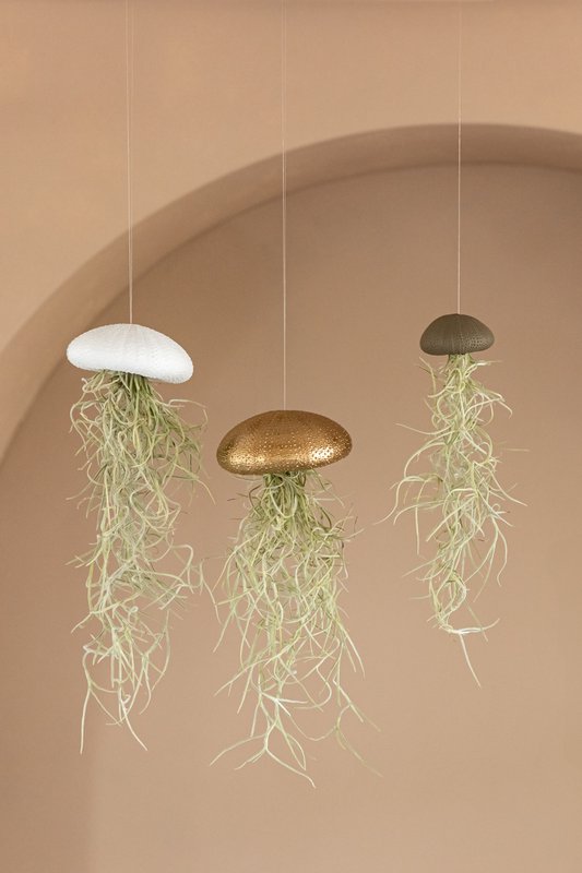 JP deco (Juffrouw Pannenkoek deco) - 2