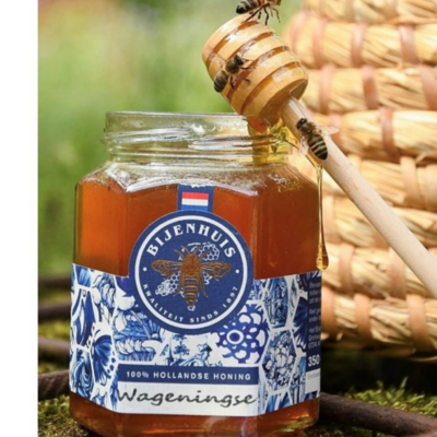 Daghmous (Cactus) Honen Online-Grohandel | Orderchamp