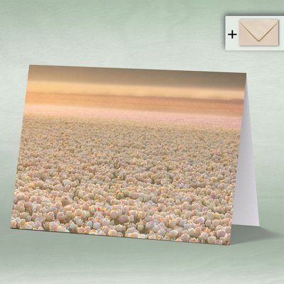 eye-comm Naturfotokarten