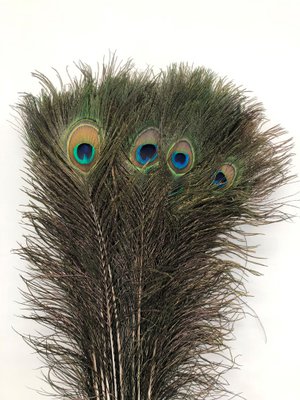 Enkels Feathers