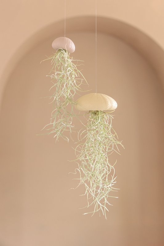 JP deco (Juffrouw Pannenkoek deco) - 4
