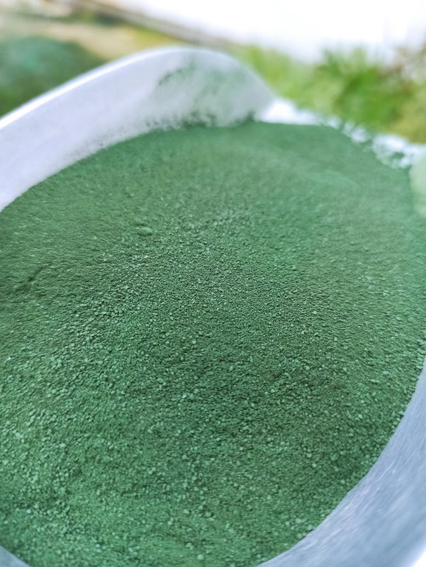 BREIZH'ULINE - 4