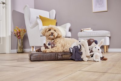 WOLTERS cat & dog GmbH