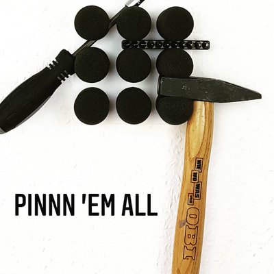 Pinnns