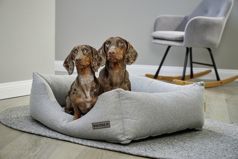 WOLTERS cat & dog GmbH - 5