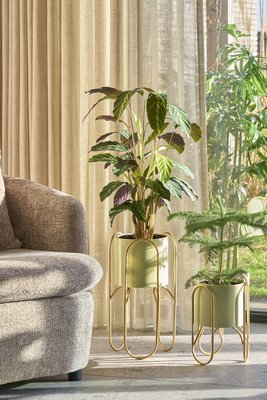 Mica Decorations