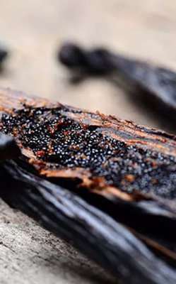 Vanilla Gasy