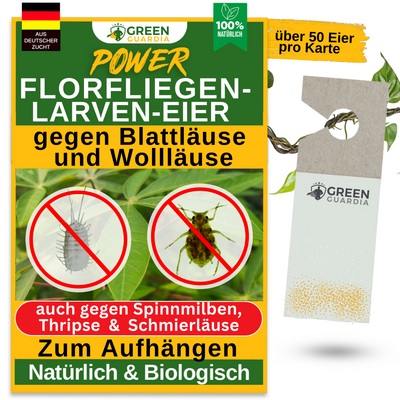 Green Guardia - Ihr Spezialist für natürliche Schädlingsbekämpfung