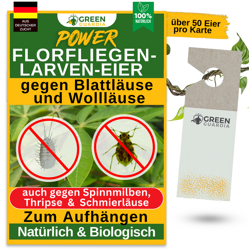 Green Guardia - Ihr Spezialist für natürliche Schädlingsbekämpfung - 4