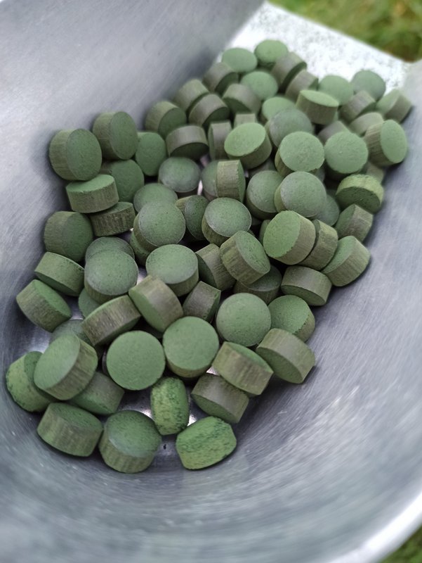 BREIZH'ULINE - 6