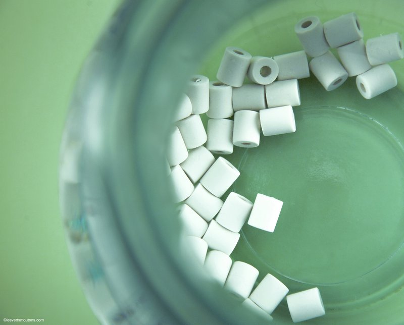 LES VERTS MOUTONS - 3