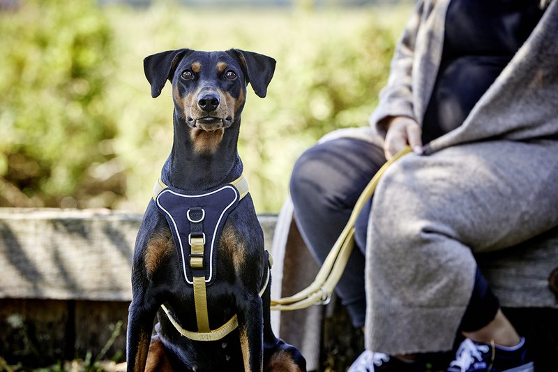 WOLTERS cat & dog GmbH - 7