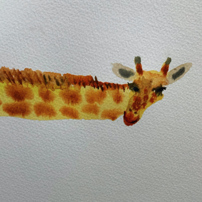 Rosie webb illustrations