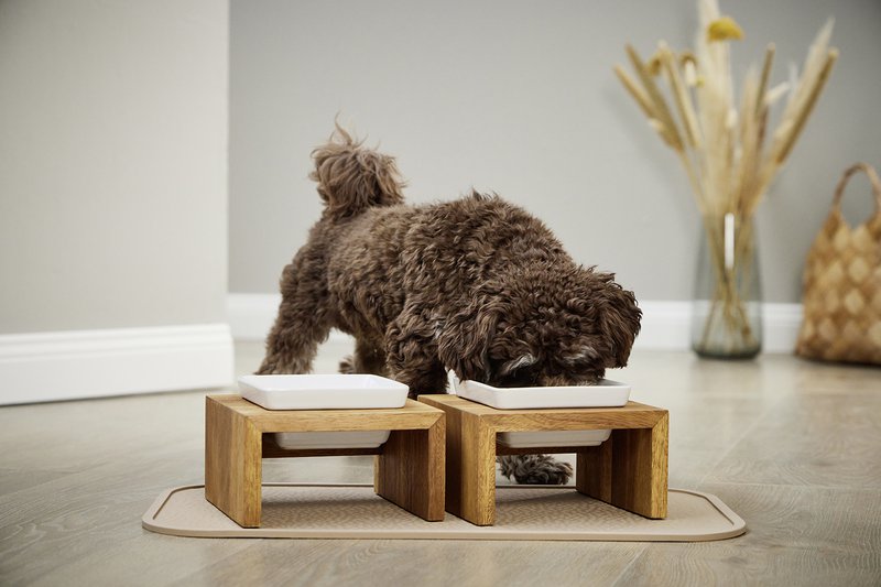 WOLTERS cat & dog GmbH - 8