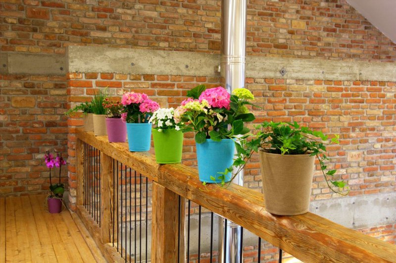 Blooming Walls Ltd. - 4