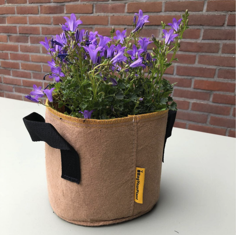 BagYourPlant - 1